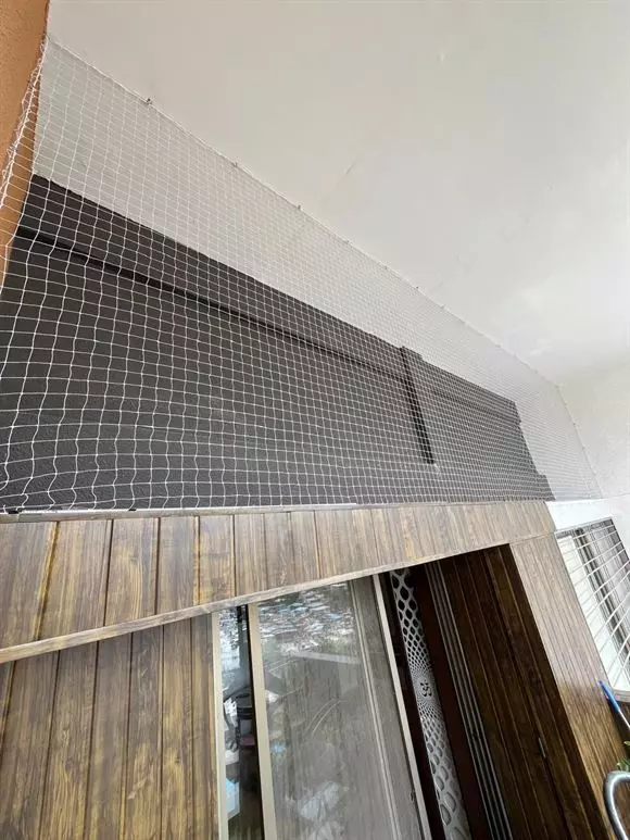 asha safety nets hadapsar in pune - Photo No.20