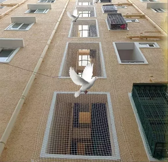 asha safety nets hadapsar in pune - Photo No.17