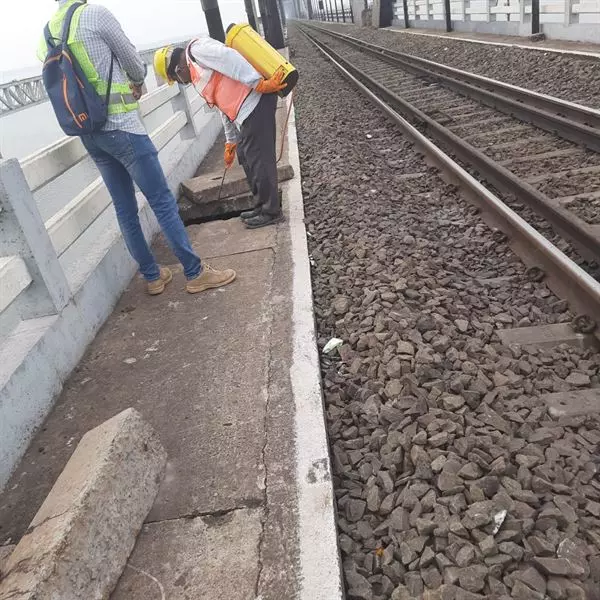 bhanu pest control service lala cheruvu in rajahmundry - Photo No.13