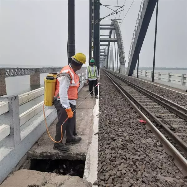 bhanu pest control service lala cheruvu in rajahmundry - Photo No.11