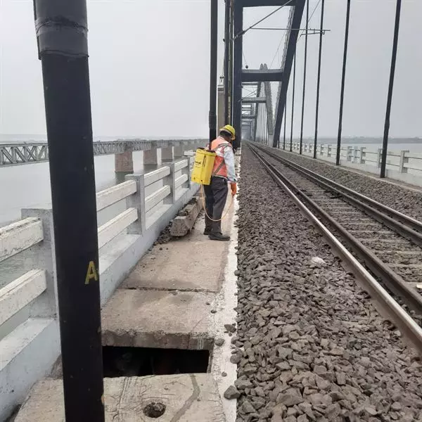 bhanu pest control service lala cheruvu in rajahmundry - Photo No.10