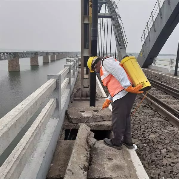 bhanu pest control service lala cheruvu in rajahmundry - Photo No.8