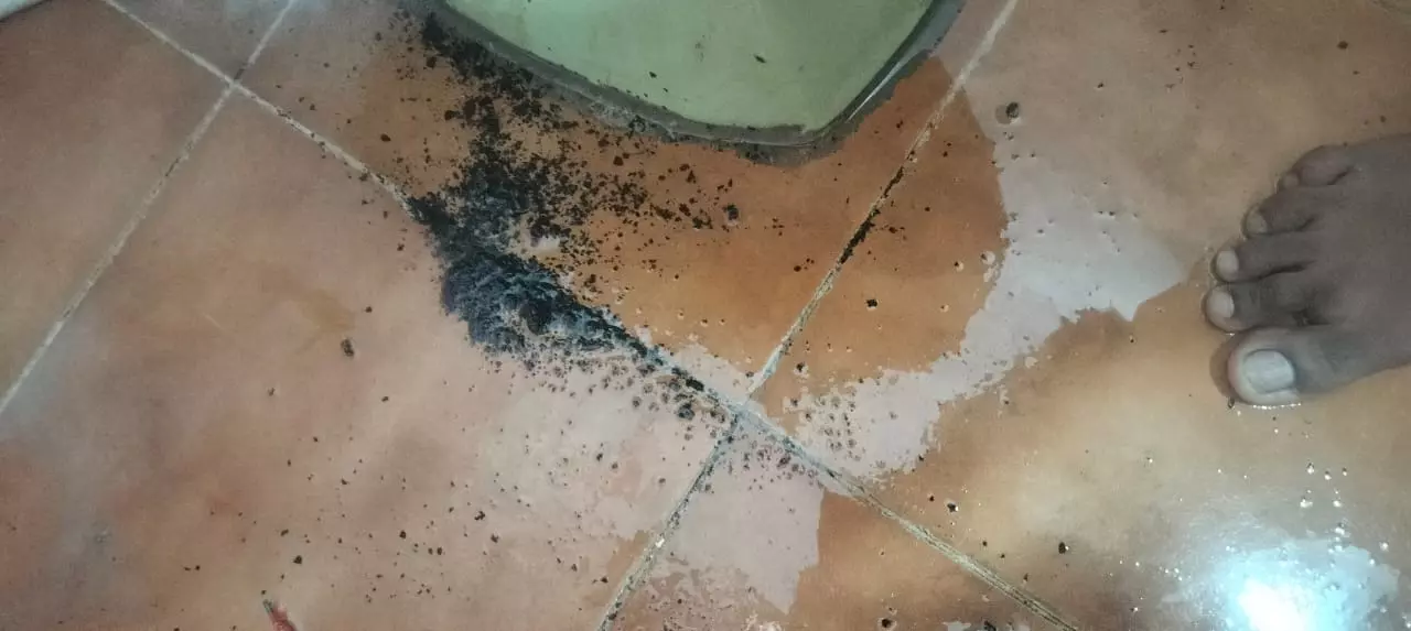 sm electrical plumbing and sanitary works auto nagar in vijayawada - Photo No.6