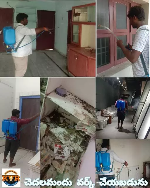 kvr pest control and water proofing works purnanandampet in vijayawada - Photo No.5