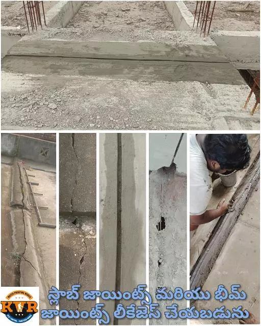 kvr pest control and water proofing works purnanandampet in vijayawada - Photo No.4