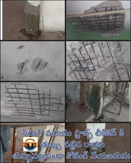 kvr pest control and water proofing works purnanandampet in vijayawada - Photo No.2
