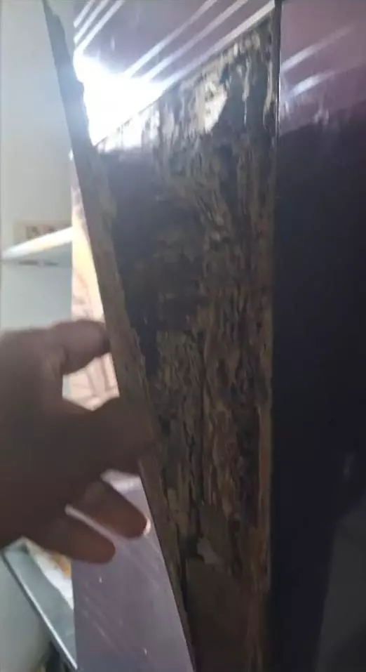 hussain pest control services babametta road in vizianagaram - Photo No.0