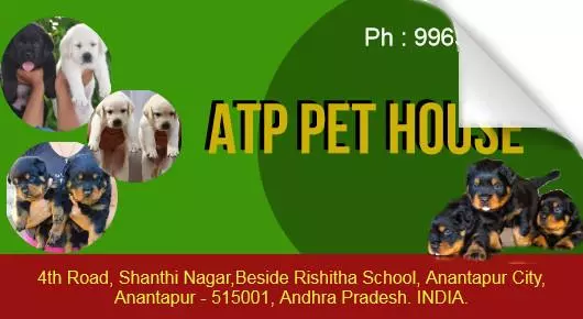 ATP Pet House in Shanthi Nagar