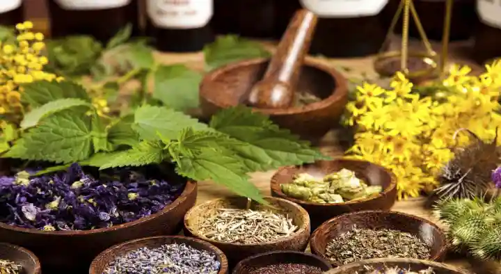 Dr Jamruddin Homoeo Clinic in Surya Nagar, Anantapur