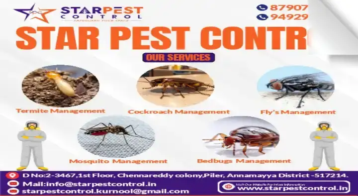 Star Pest Control in Pileru