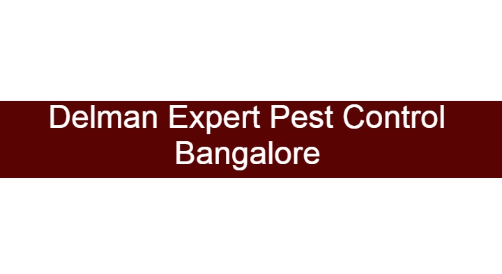 DelmanExpert Pest Control in HSR Layout