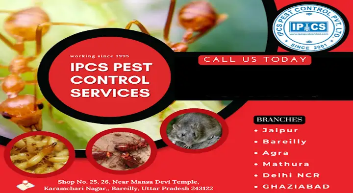 IPCS Pest Control Service in Rajendra Nagar