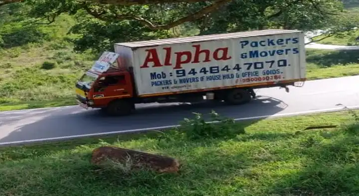 Alpha Packers and Movers in kudlu