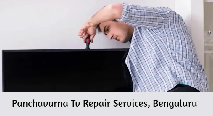 Panchavarna Tv Repair Services in Thyagaraja Nagar
