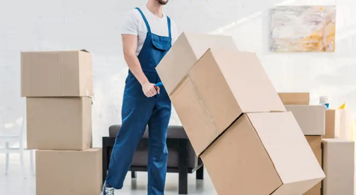 Global Packers and Movers in Indus Town