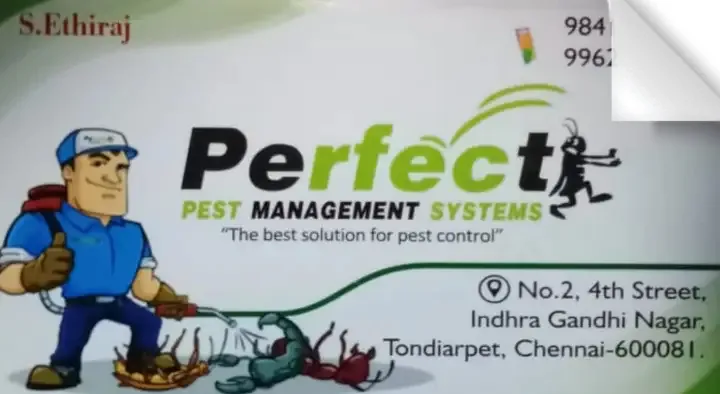 Perfect Pest Management in Tondiarpet