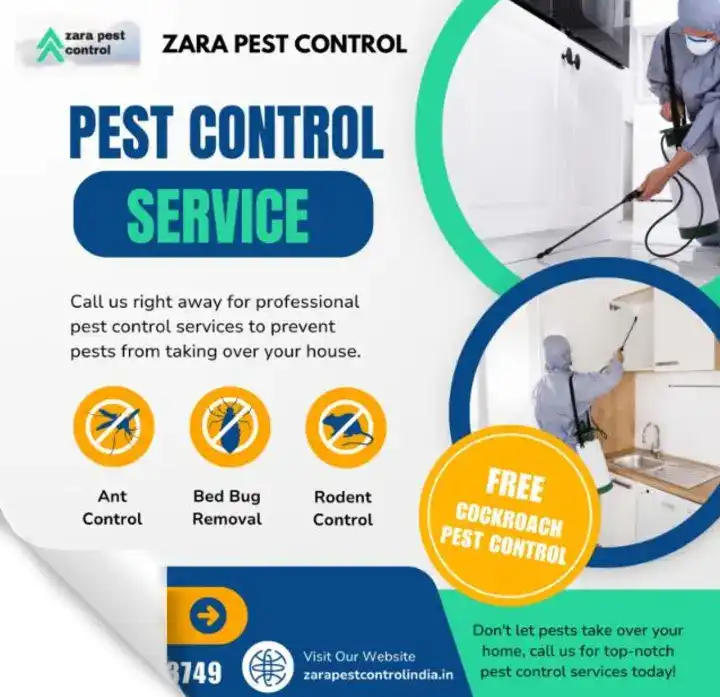 Zara pest control in Triplicane