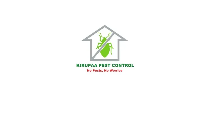 Kirupa Pest Control Service in Maduravayol