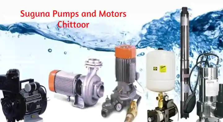 Suguna Pumps and Motors in Ganagapeta, Chittoor