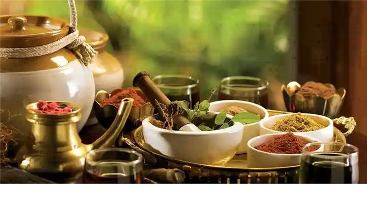 Ayush Ayurveda Clinic in KRG Nagar
