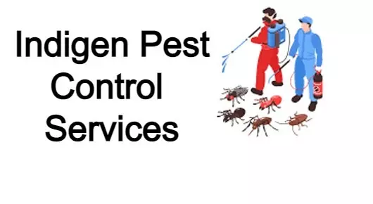 Indigen Pest Control Services in Main Road