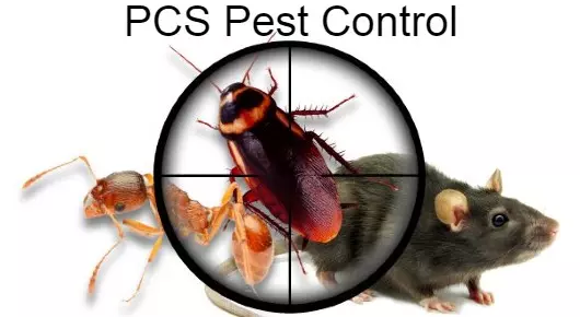 PCS Pest Control near Brindavan Gardens in Guntur