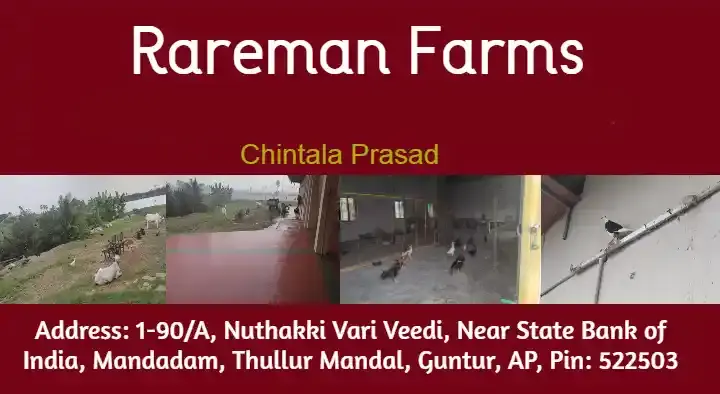Rareman Farms in Mandadam, Guntur