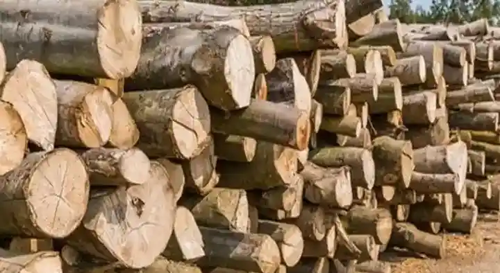 Swami Timber Traders and Samil in Amaravathi Road