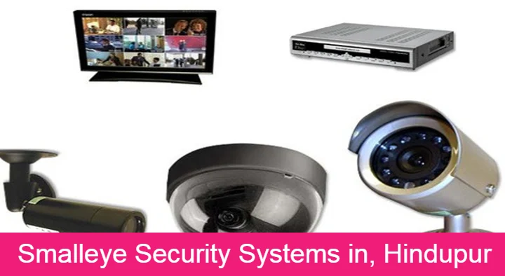 Smalleye Security Systems in Auto Nagar