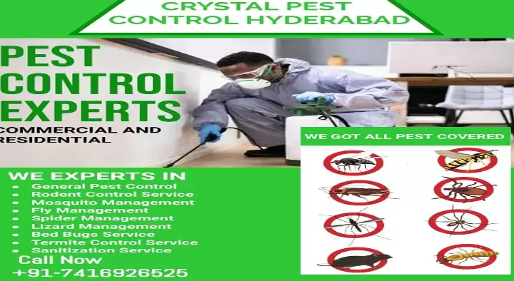 Crystal Pest Control  in Attapur, Hyderabad