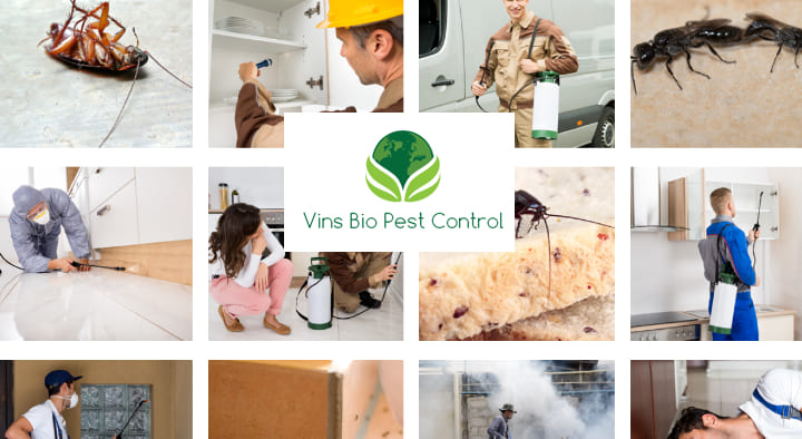 Vins Bio Pest Control in Sanath Nagar, Hyderabad