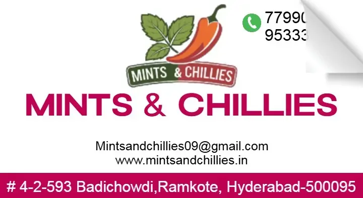 Mints and Chillies in Badichowdi