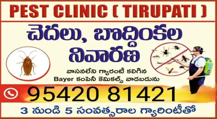 Pest Control Services in LB Nagar