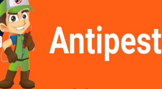 Antipest Pest Control Service in Himayatnagar, Hyderabad