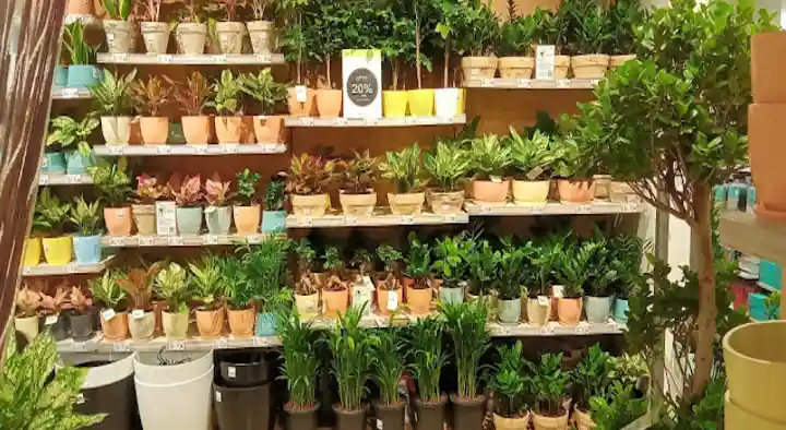 Nurturing Green in Uppal