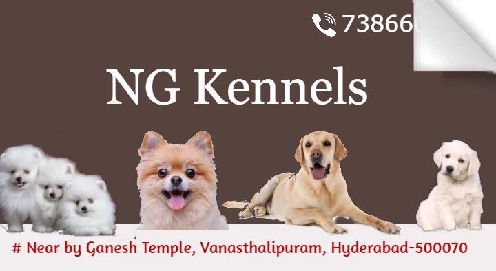 NG Kennels near Vanasthalipuram in Hyderabad