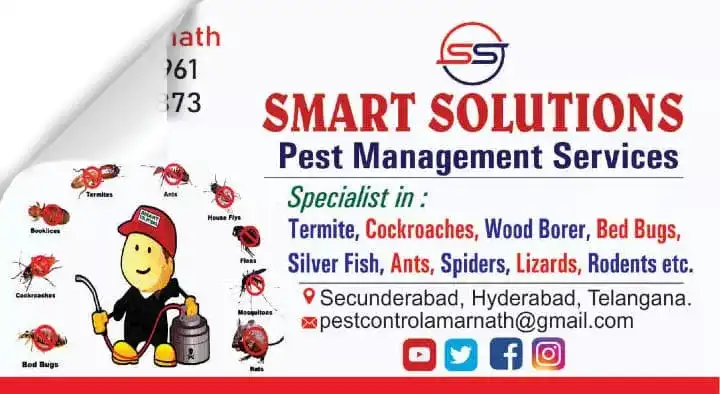 Smart Solutions Pest Management Services in Secunderabad
