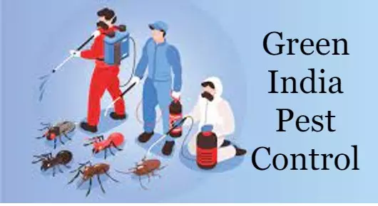 Green India Pest Control in Bhagya Nagar Colony