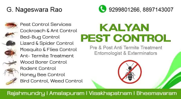 Kalyan Pest Control Services in Old Post Office Road