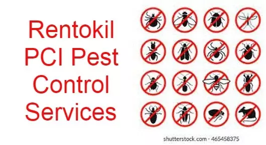 Rentokil PCI Pest Control Service in Amman Sannathi Street