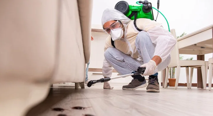 Fumitech Pest Control Services in Rajiv Gandhi Road