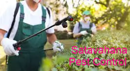 Satavahana Pest Control in Kothirampur, Karimnagar