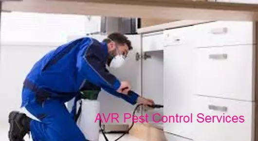 AVR Pest Control Services in Vidyanagar