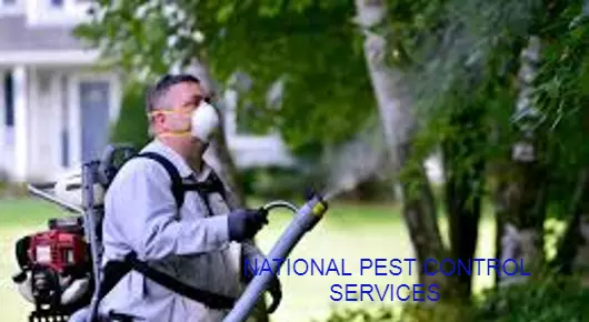 NATIONAL PEST CONTROL SERVICES in Ramnagar