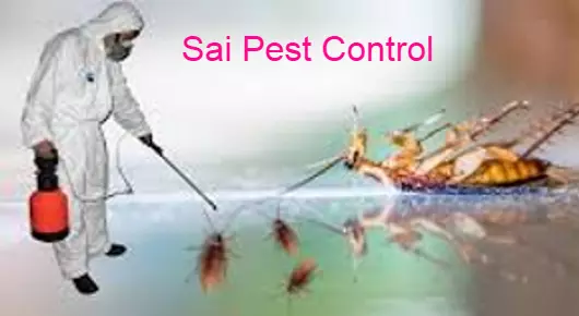 Sai Pest Control near Kashmirgadda in Karimnagar