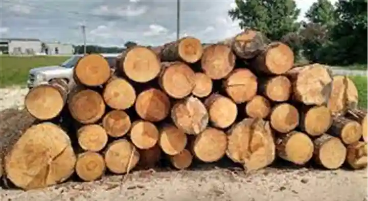 Karimnagar Timber House in Bhagatnagar