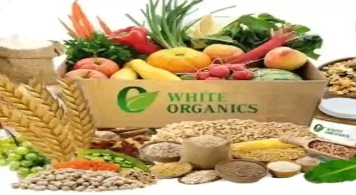 Organic Health in Lakshmi Nagar