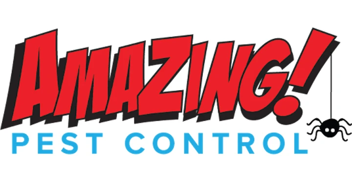 Amazing Pest Control in Srinagar colony