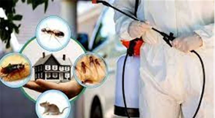 Drishya Bhavan Pest Control in Edappally