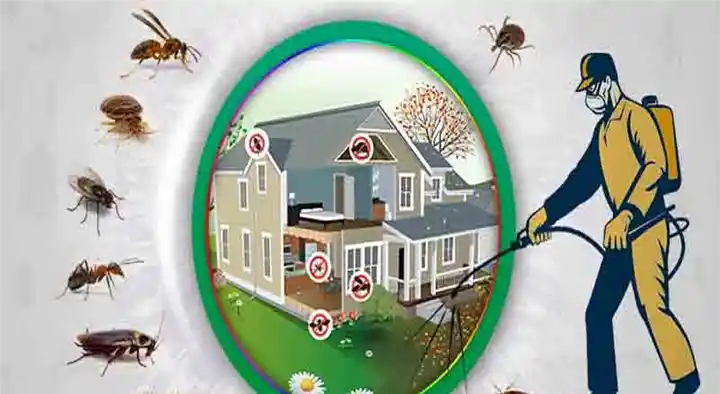 PAN Pest Control Services in Jawahar Nagar
